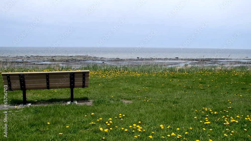 Fleuve