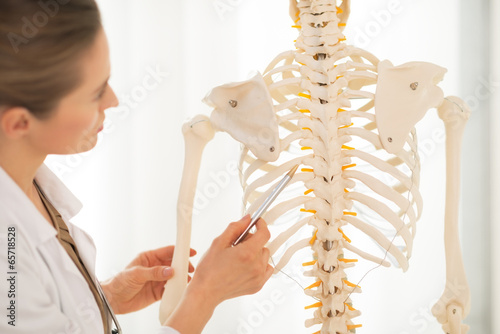 Closeup on doctor woman pointing on spine of human skeleton photo