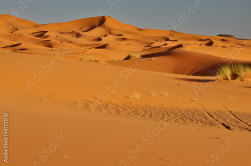 Merzouga desert in Morocco