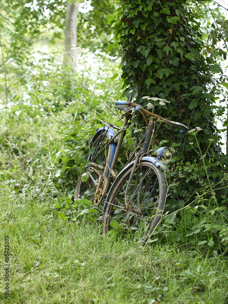 Fototapeta premium vélo perdu