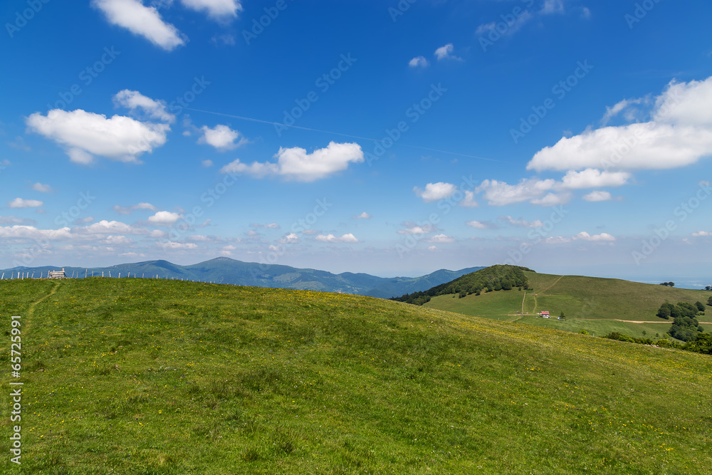 paysage Alsacien paysage Alsacien