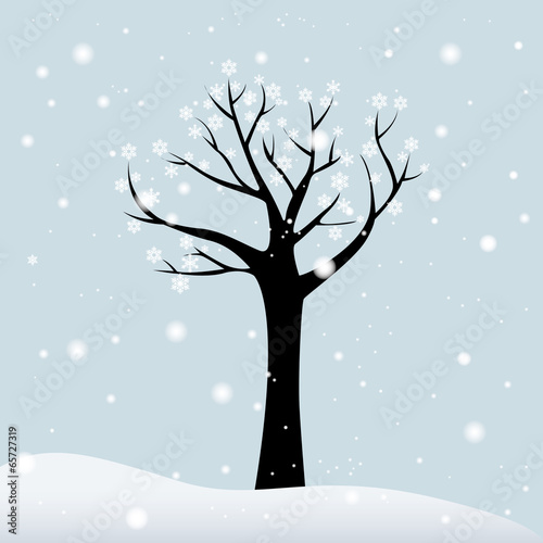 Winter Tree © DAVIDS