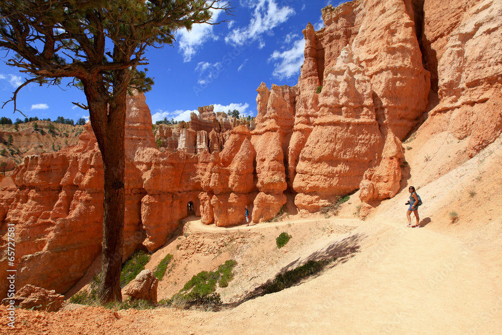 queen's garden trail, Bryce canyon