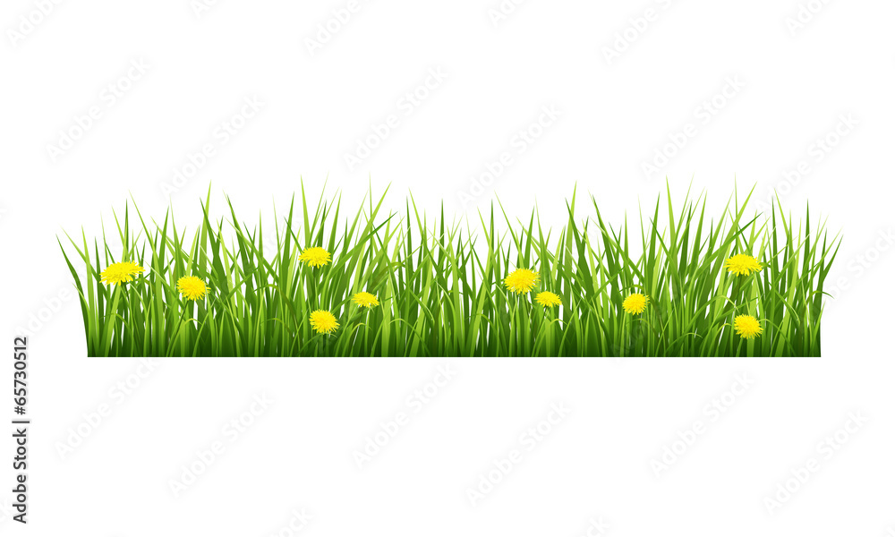 Grass with yellow flowers - obrazy, fototapety, plakaty 