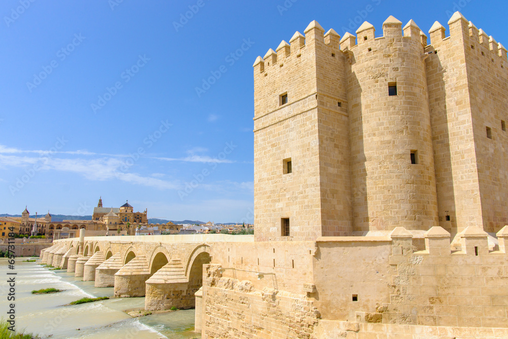 Roman bridge of Cordoba Roman bridge of Cordoba