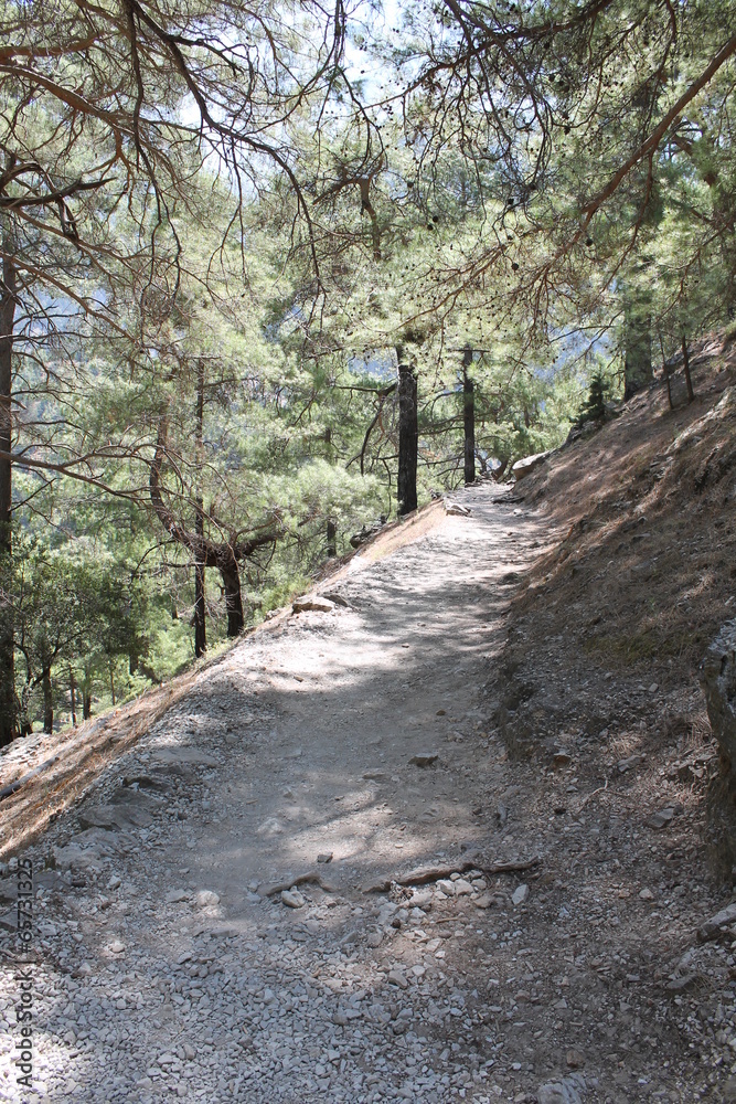 Fototapeta premium samaria gorge