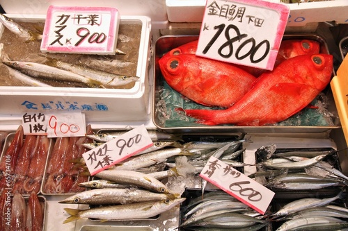 Photography Japan fish market - Tsukiji in Tokyo