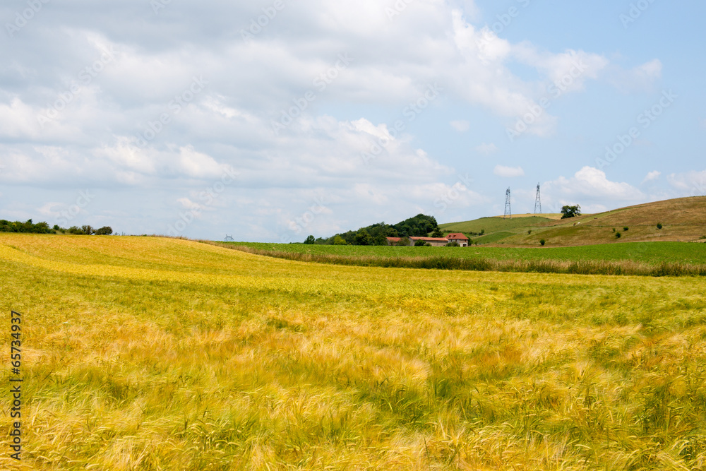 Agricultural landscape in France Agricultural landscape in France