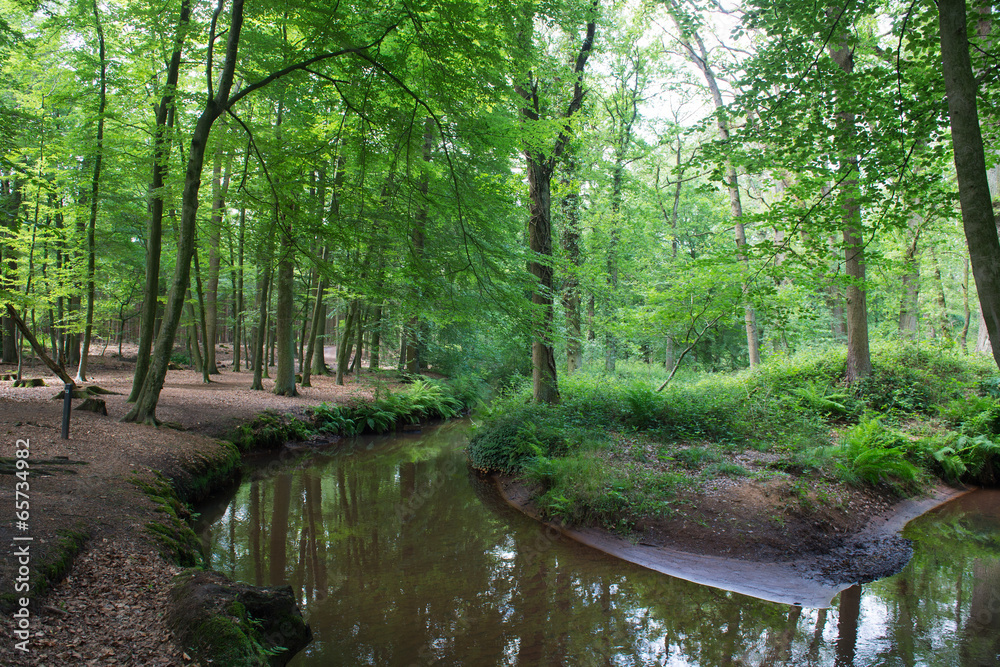 Obraz premium Estate Geijsteren