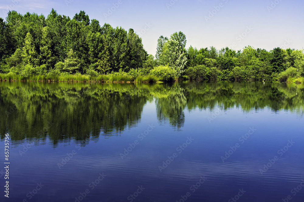 Little artificial lake, Lomellina, color image Little artificial lake, Lomellina, color image