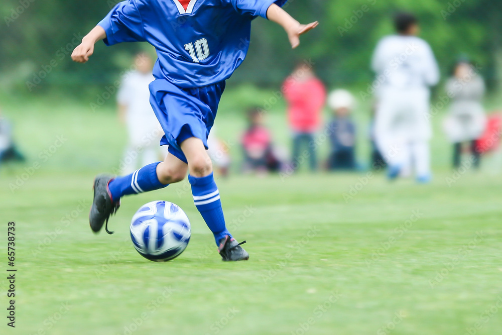 Obraz premium サッカー、フットボール、スポーツ、球技、ボール、足、走る、ドリブル、日本、アジア、グランド、芝生、試合、練習、学生、一人