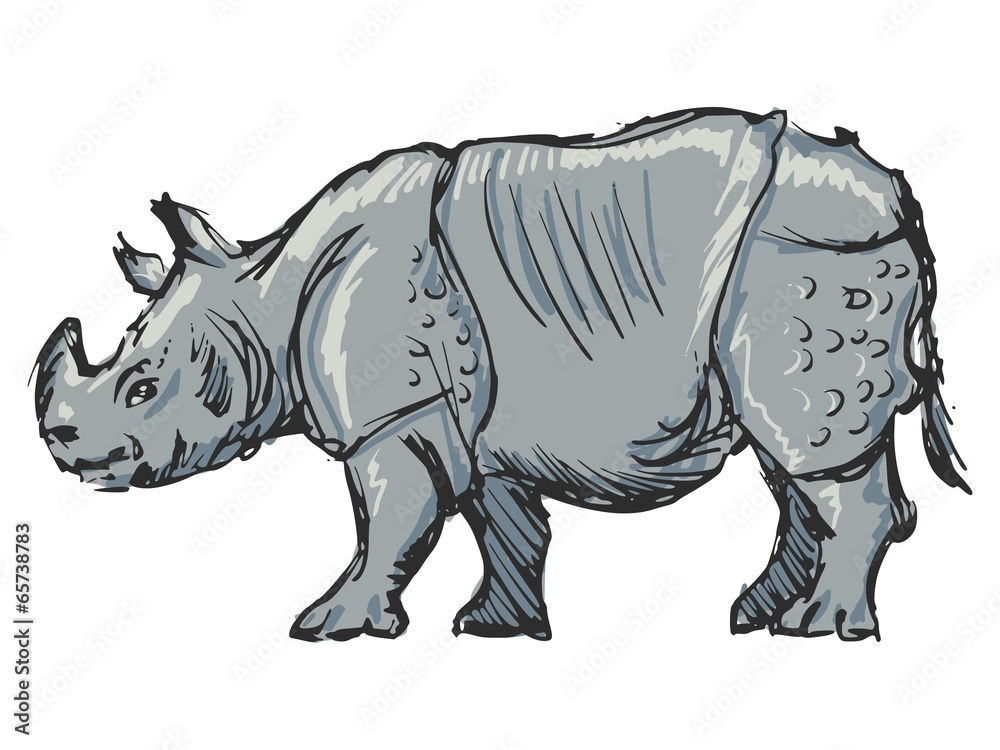 Fototapeta premium rhinoceros