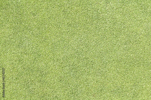 Green golf grass for background