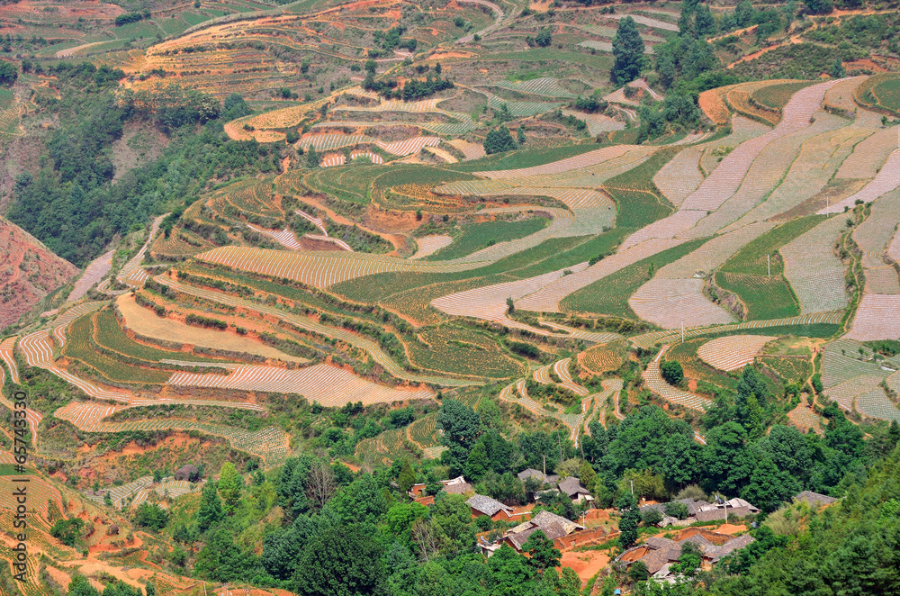 Terraced fields in Yunnan Province, China