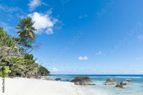 Fototapeta Naklejka Na Ścianę i Meble -  beach of tropical island
