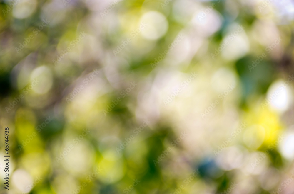 Nature green abstract