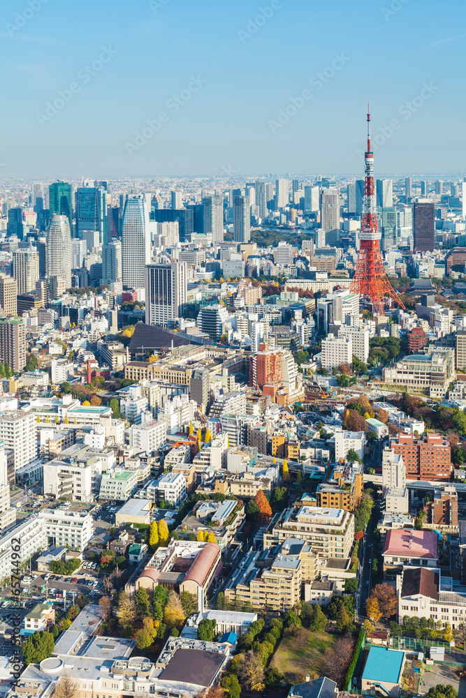 Fototapeta premium Tokyo city