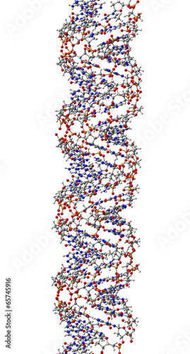 DNA molecule. 3D Illustration