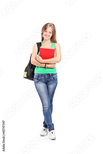 Young schoolgirl holding books