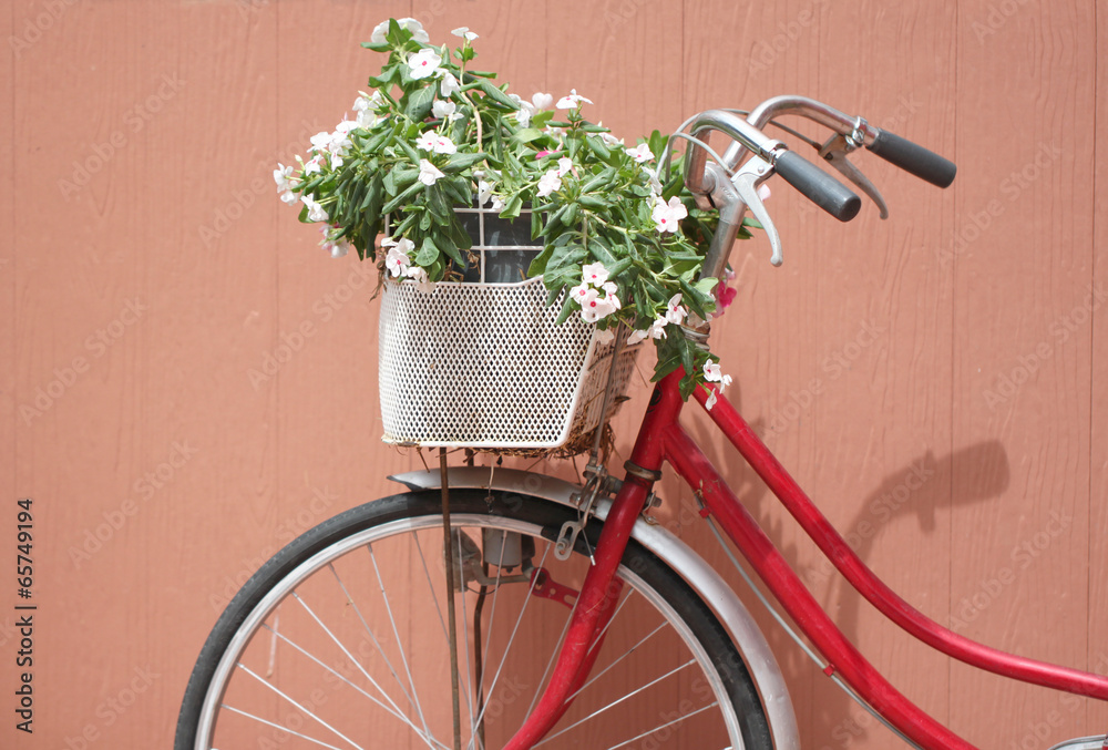 Red bicycle and pink flowers.