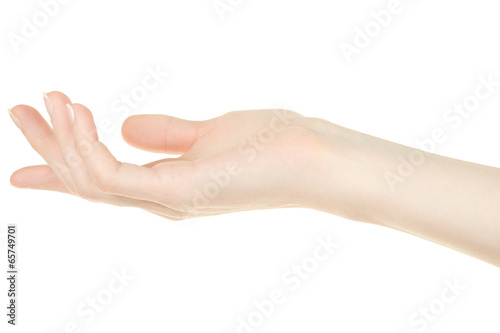 Female hand open, palm up on white, clipping path © andersphoto