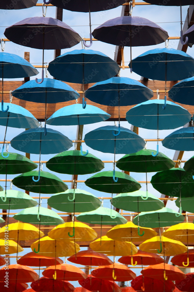 umbrellas in different colours