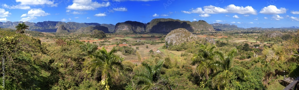 Cuba. Tropical nature of Vinales Valley.