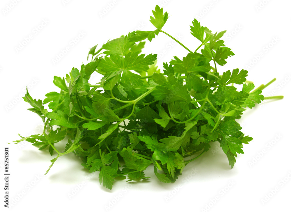 Fototapeta premium Fresh green parsley