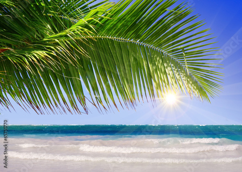 Caribbean beach and sun shining.     © Swetlana Wall