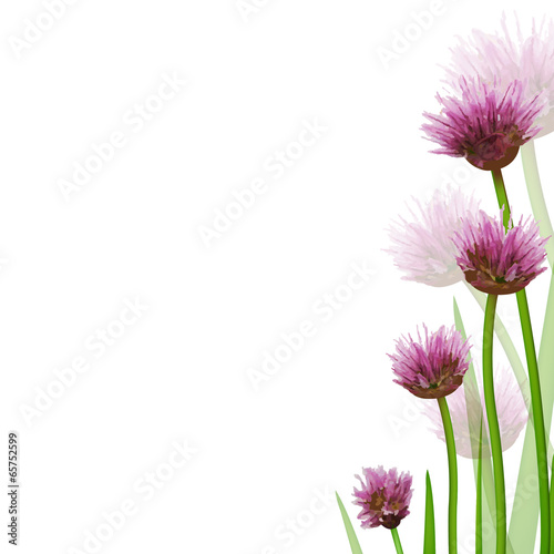 Flower Border
