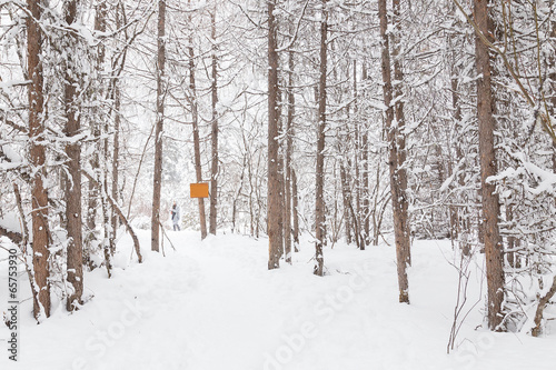 snow road © xiefei