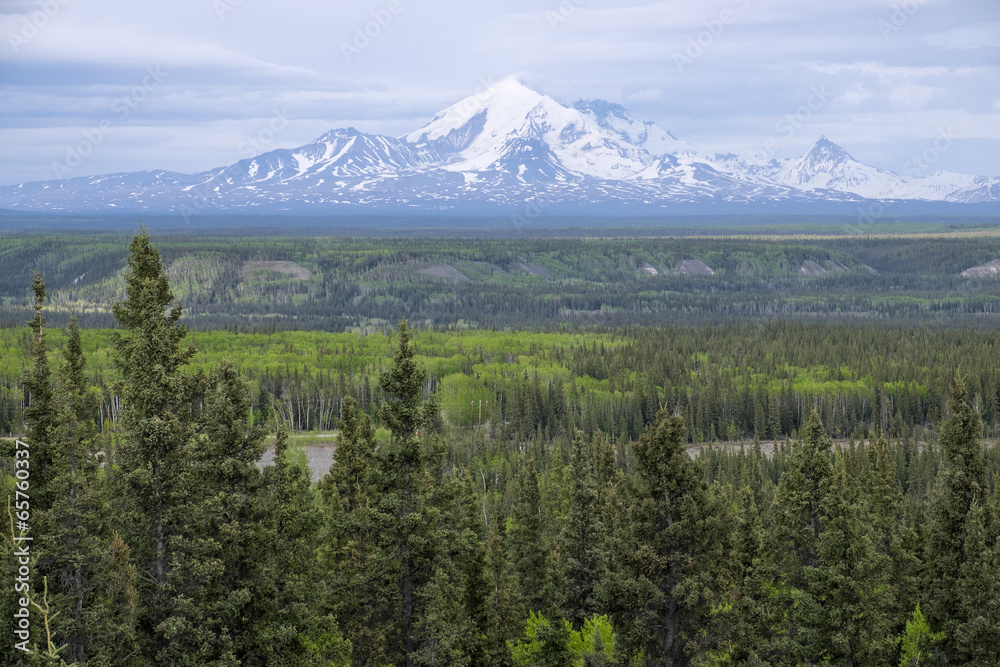 Mount Blackburn Alaska