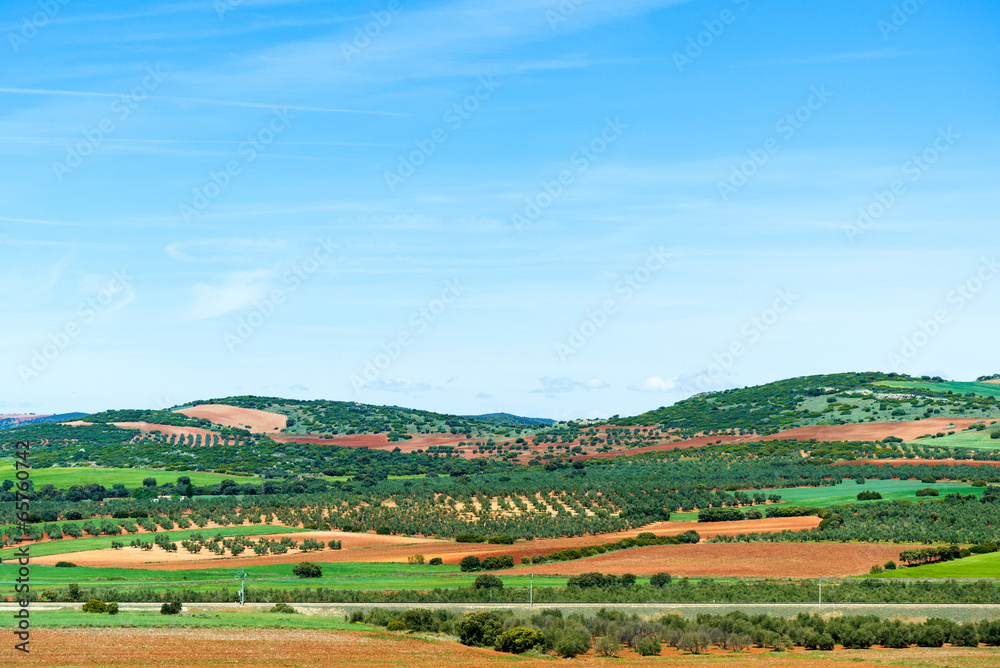 picturesque fields in Spain