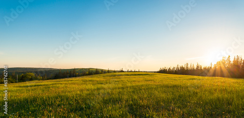 Panorama of green meadow at sunset