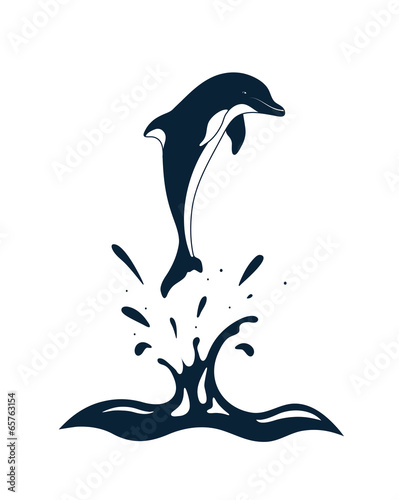dolphin in the waves