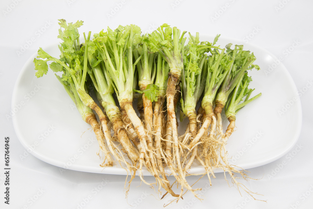 Root of Parsley