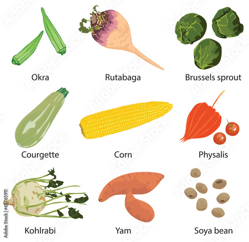 set of 9 vegetables