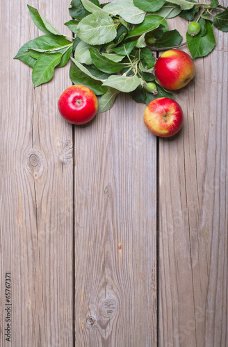 Apples with branches on wooden boards