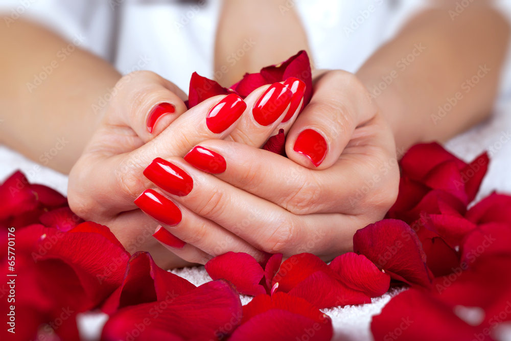 Red manicure on a woman hands with leafs of roses. - obrazy, fototapety, plakaty 