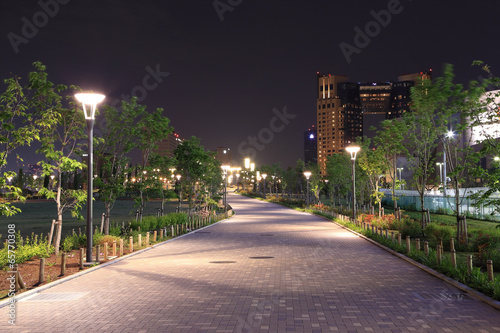 beautiful garden walkway with lamps at night