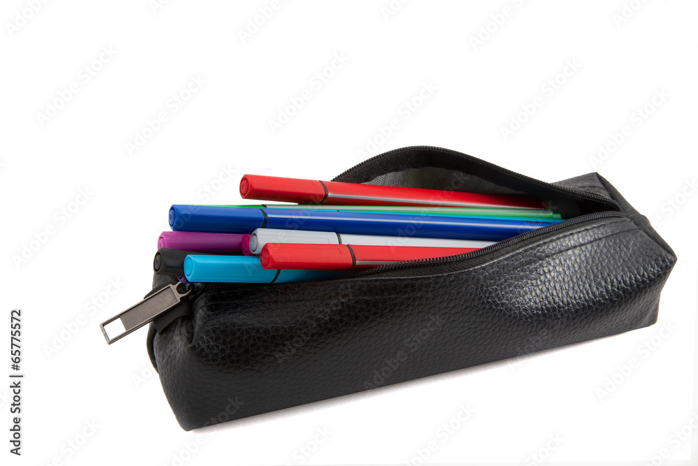 Viele Fineliner im Etui Viele Fineliner im Etui