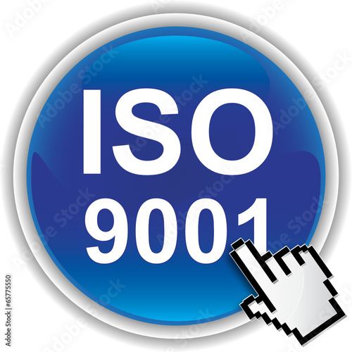 ISO 9001 ICON