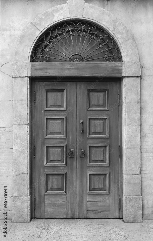Fototapeta premium wooden door and wall