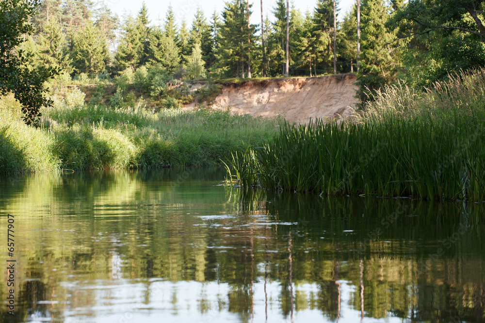 Obraz premium Forest river