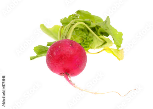 Fresh Radishes Isolated on White Background