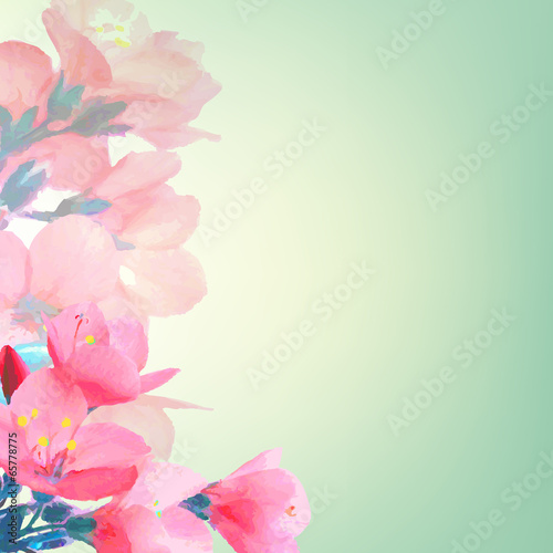 Pink Flowers