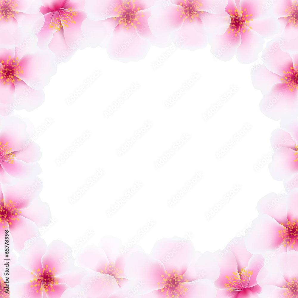 Cherry Flower Frame With Blur