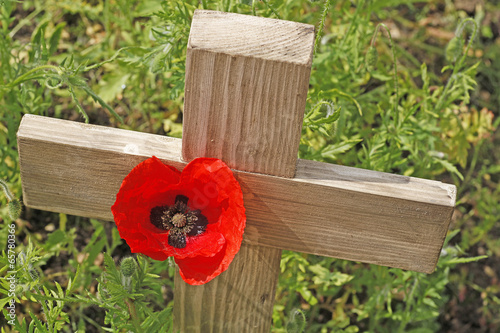 Fototapeta Naklejka Na Ścianę i Meble -  poppy cross