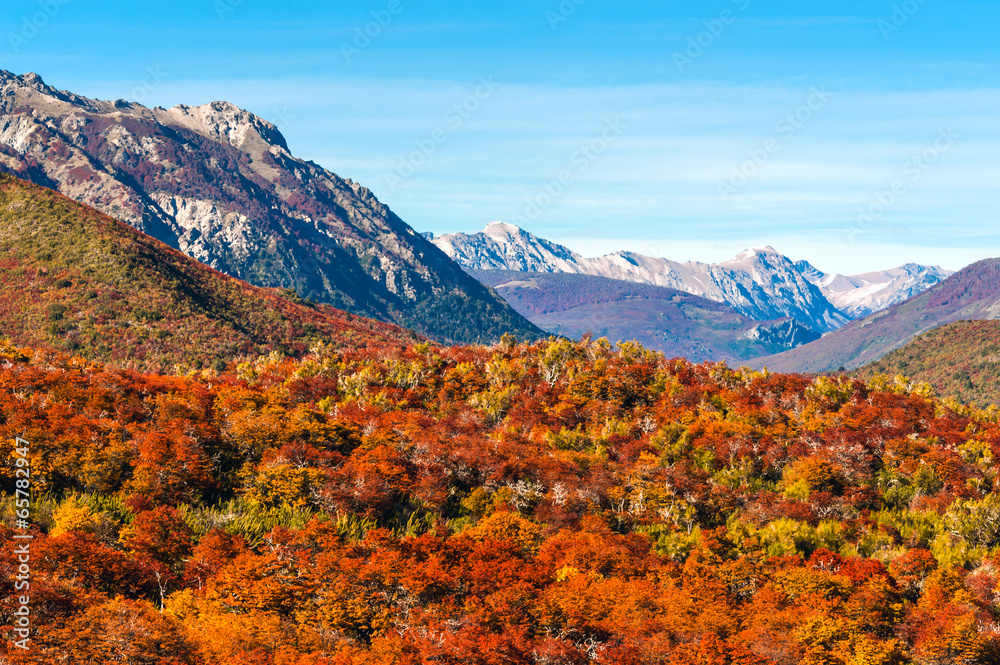 Autumn Colors of Patagonia, near Bariloche, Argentina