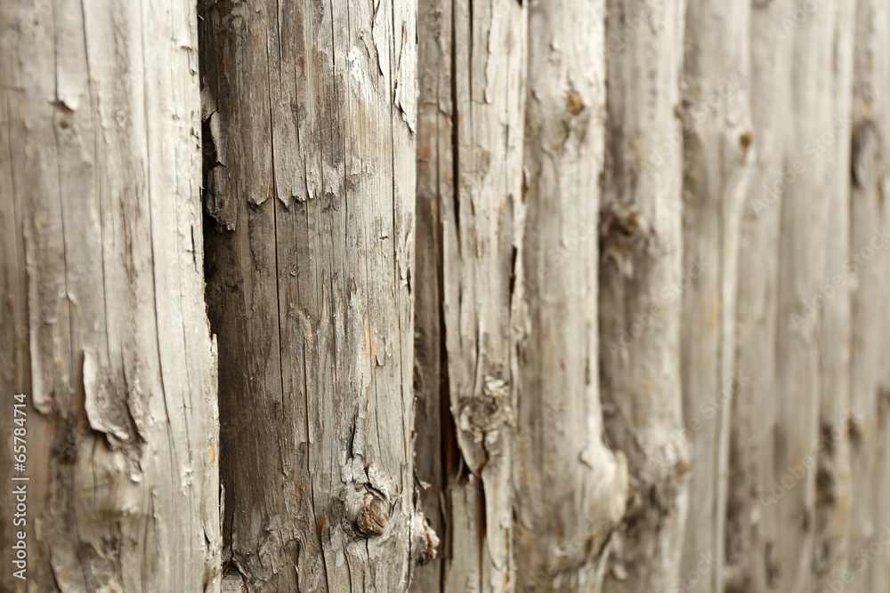 Old wooden background, close up Old wooden background, close up